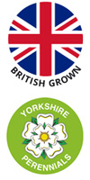British grown, Yorkshire Perennials